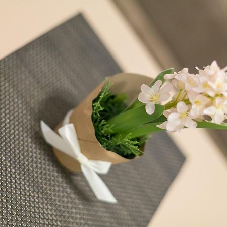 Apartment Dositejeva 13 Βελιγράδι Εξωτερικό φωτογραφία